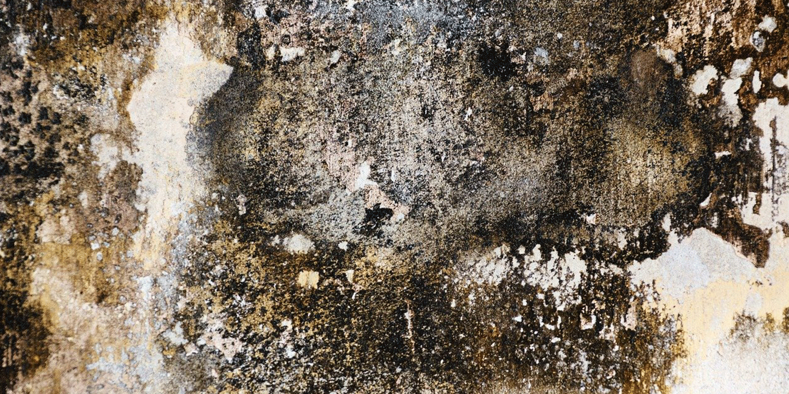 Comment assécher un mur intérieur humide et quels sont vos solutions