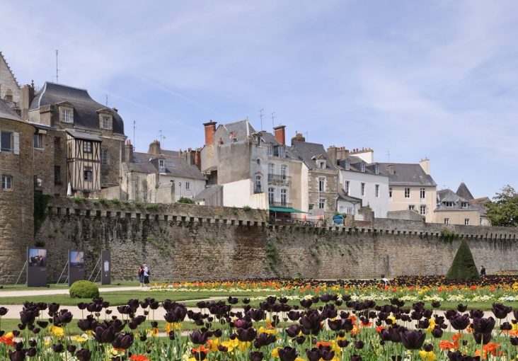 vannes-renovation