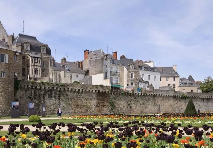 vannes-renovation