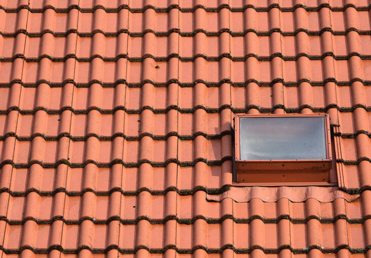 Anti-mousse toiture : combien de temps faut-il prévoir avant la pluie ?