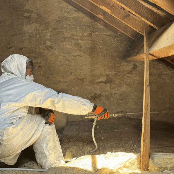 couvreur-reze-traitement-charpente